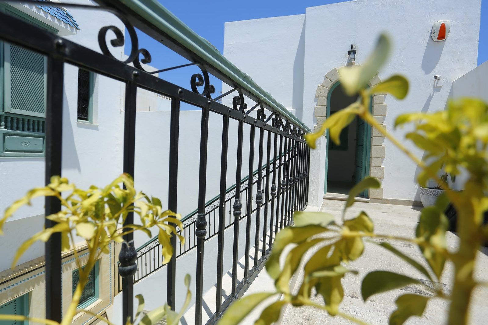 Dar Hammamet photo